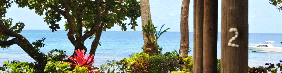 Fiji bure
