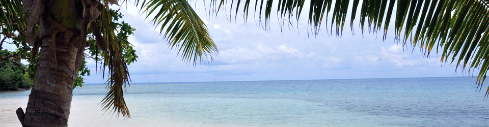 Fiji video