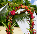 Fiji wedding